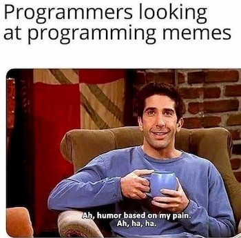 meme programmers-humor-meme